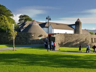 siamsa tire tralee