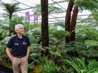 Billy Alexander at Chelsea Flower Show 2025